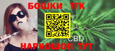 индика Кулебаки