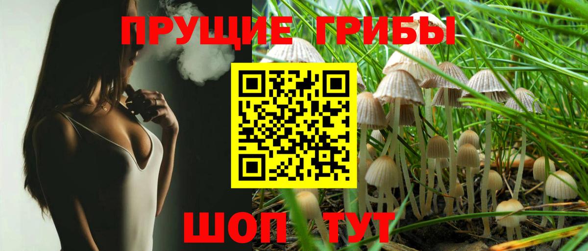 Псилоцибиновые грибы ЛСД Казань