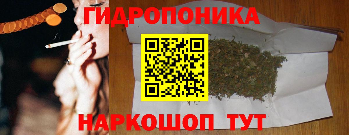 Канабис сатива Казань